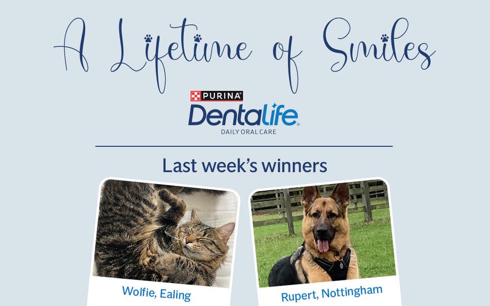 Win a Purina hamper in A Lifetime of Smiles competition